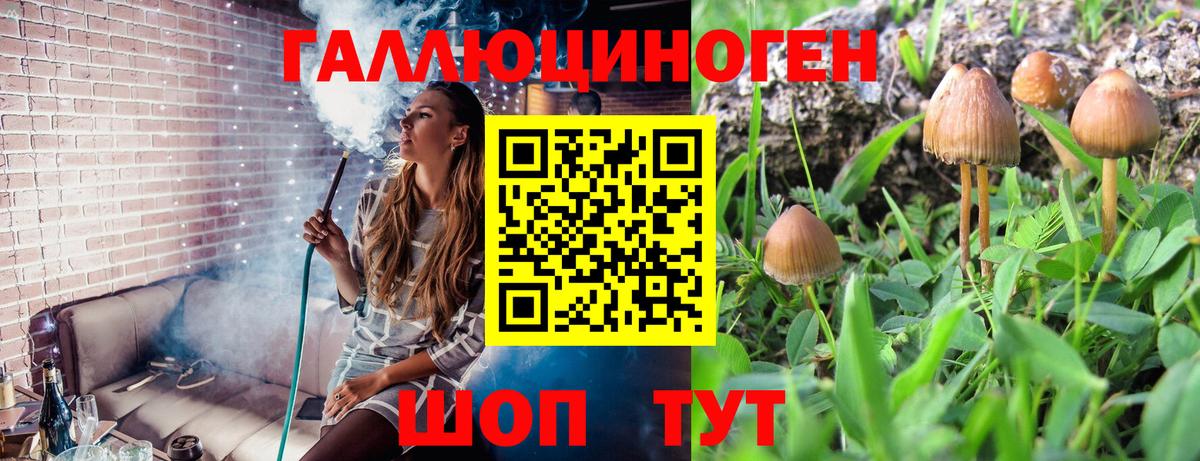 Галлюциногенные грибы прущие грибы Тольятти