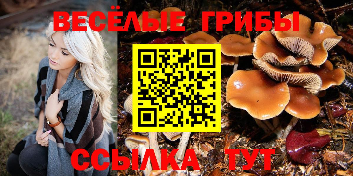 Галлюциногенные грибы ЛСД  Галлюциногенные грибы Cubensis  Тольятти  Вход с VPN 
